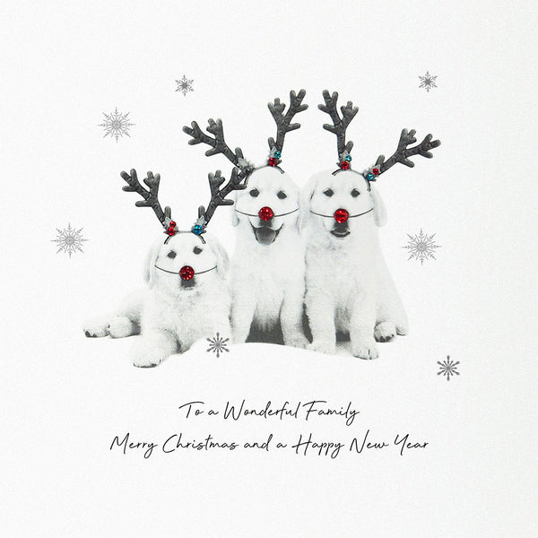 To a Wonderful Family Merry Christmas…