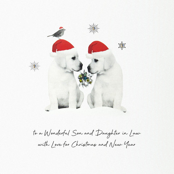 To a Wonderful Son and Daughter in Law