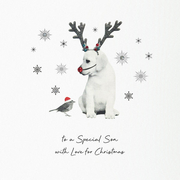 To a Special Son / Fiancé - With Love