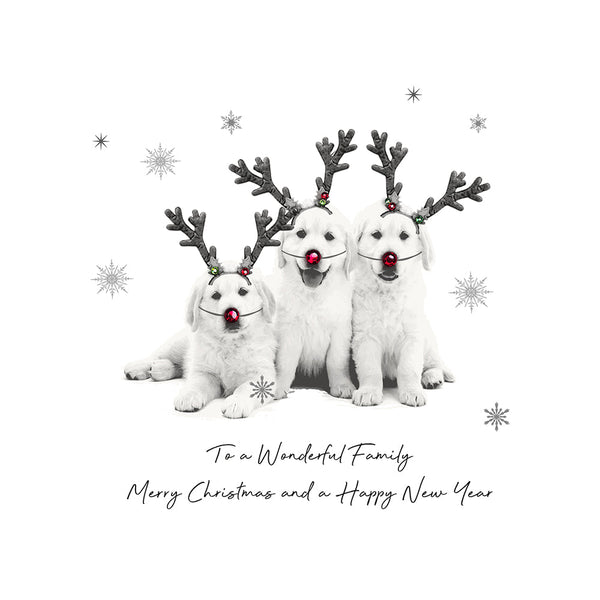 To a Wonderful Family Merry Christmas and a Happy New Year