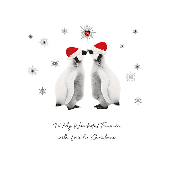 To My Wonderful Fiancée with Love for Christmas