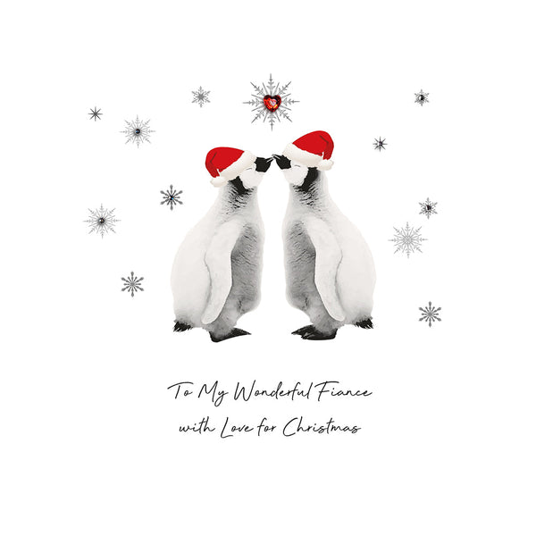 To My Wonderful Fiancé with Love for Christmas