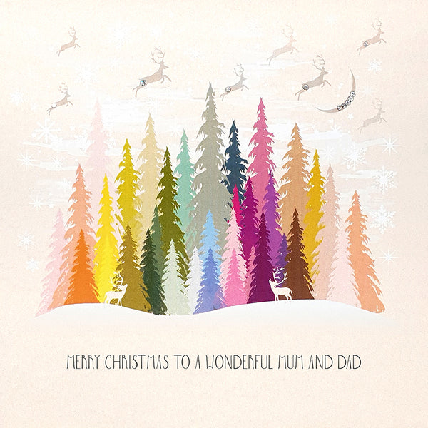 Merry Christmas to a Wonderful Mum and Dad