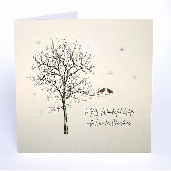 To My Wonderful Wife