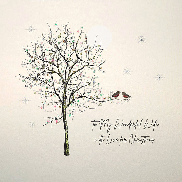 To My Wonderful Wife