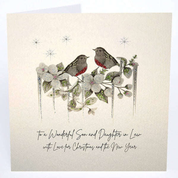To a Wonderful Son and Daughter in Law (robins)