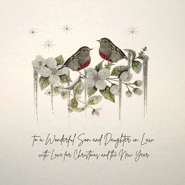 To a Wonderful Son and Daughter in Law (robins)