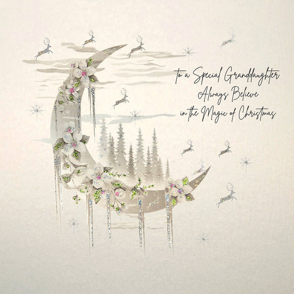 To a Special Granddaughter Always Believe...