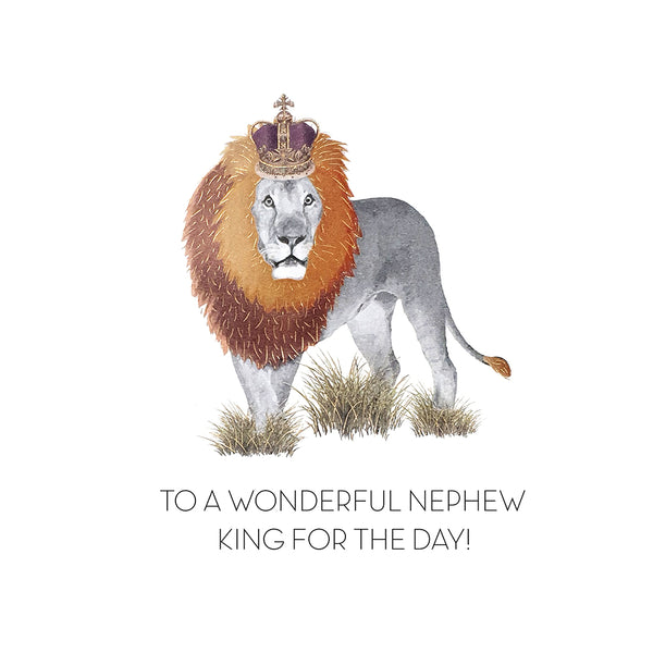 To a Wonderful Nephew