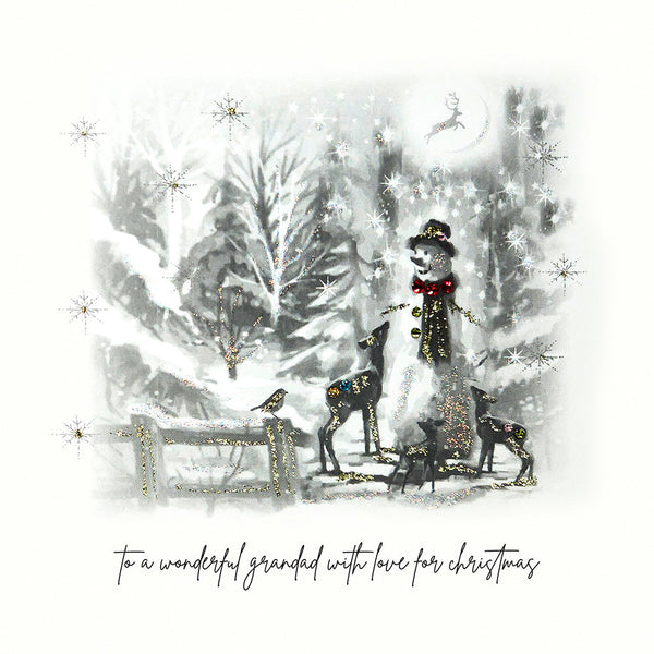 To a Wonderful Grandad (Options Available)