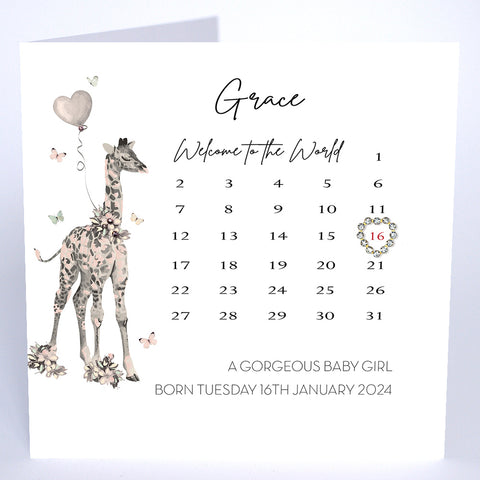 Welcome to the World A Gorgeous Baby Girl (Calendar)