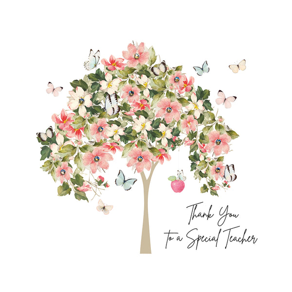 Thank You to a Special Teacher