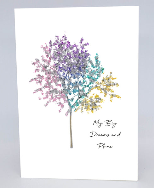 My Big Dreams and Plans