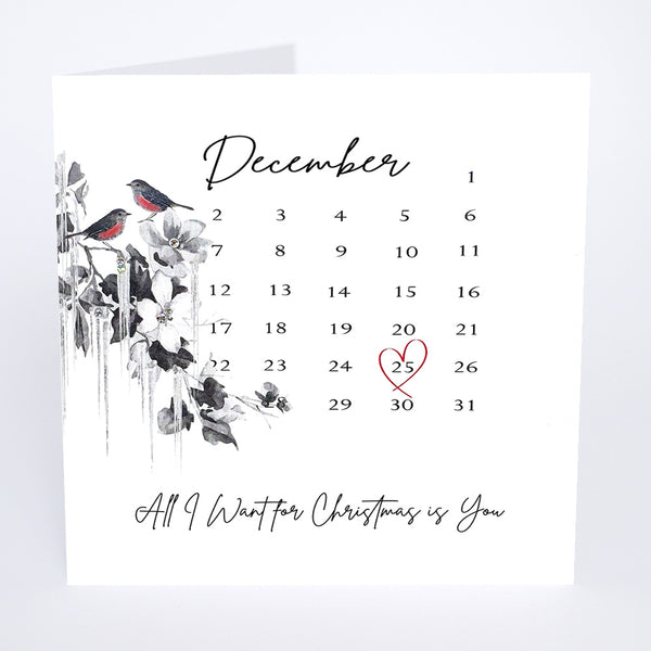 All I Want for Christmas is You