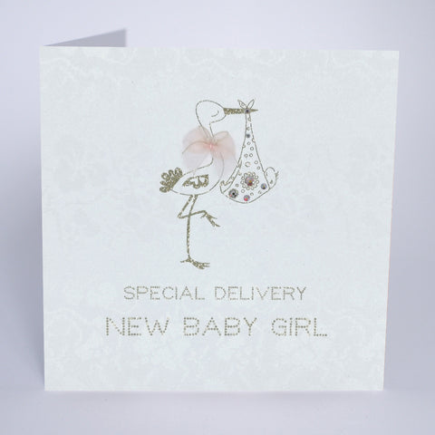 Special Delivery New Baby Girl