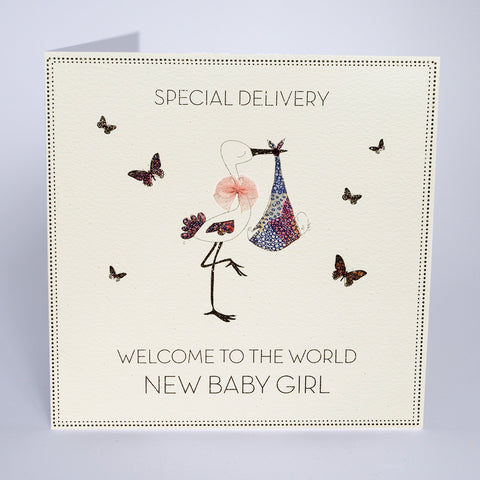 Special Delivery - New Baby Girl