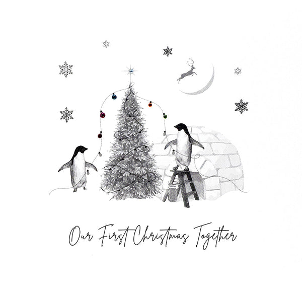 Our First Christmas Together