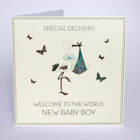 Special Delivery - New Baby Boy
