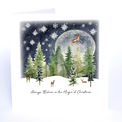 Always Believe in the Magic of Christmas