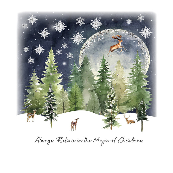 Always Believe in the Magic of Christmas
