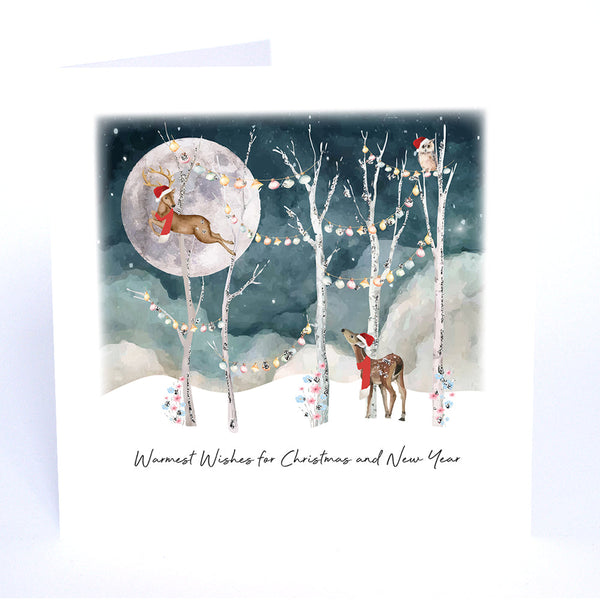 Warmest Wishes for Christmas and New Year