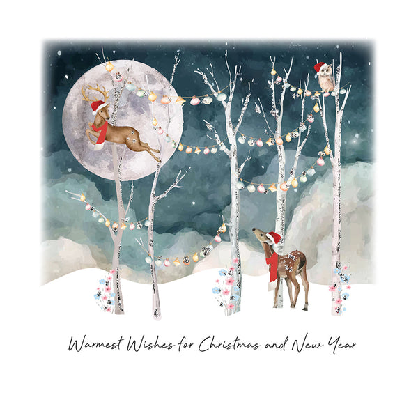 Warmest Wishes for Christmas and New Year