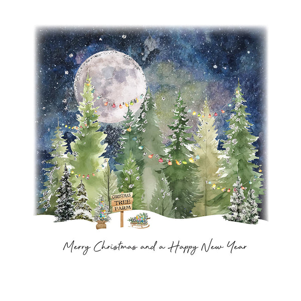 Merry Christmas and a Happy New Year