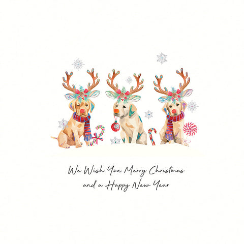 We Wish You A Merry Christmas and a Happy New Year