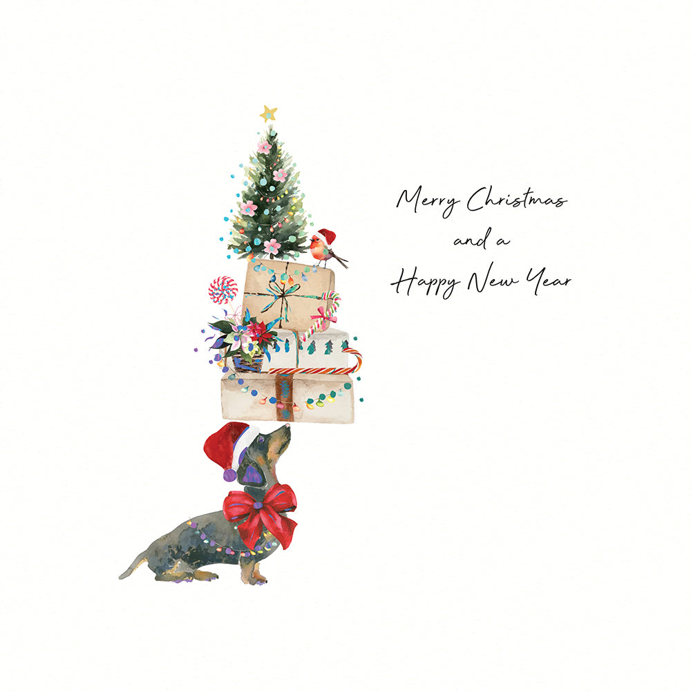 Merry Christmas and a Happy New Year