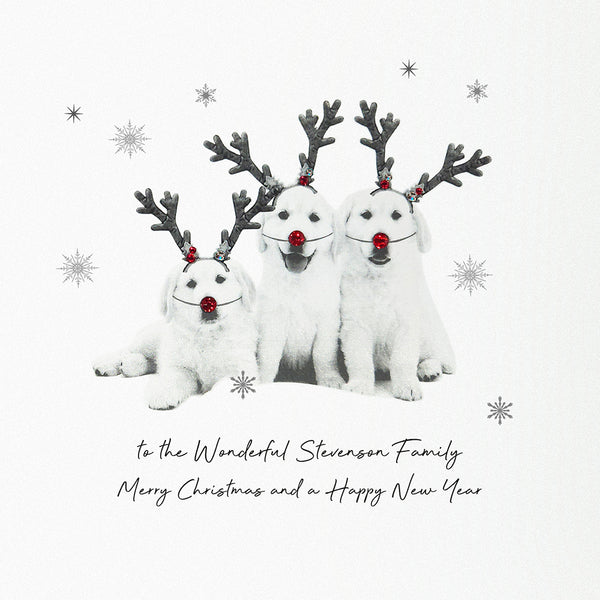 PERSONALISE FOR THEM… To a Wonderful Family Merry Christmas and a Happy New Year (Dogs Reindeers)