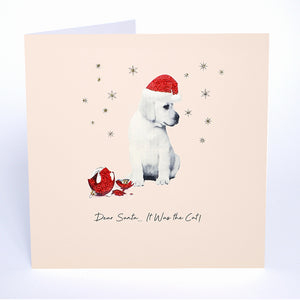 Dear Santa…It Was the Cat!