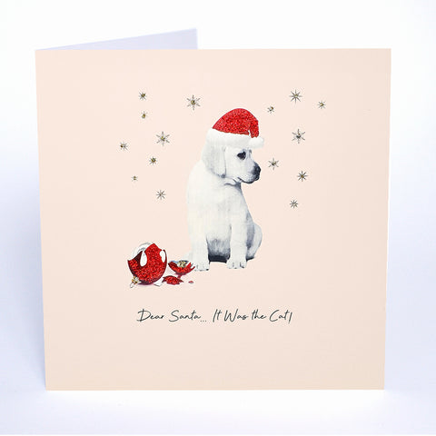 Dear Santa…It Was the Cat!