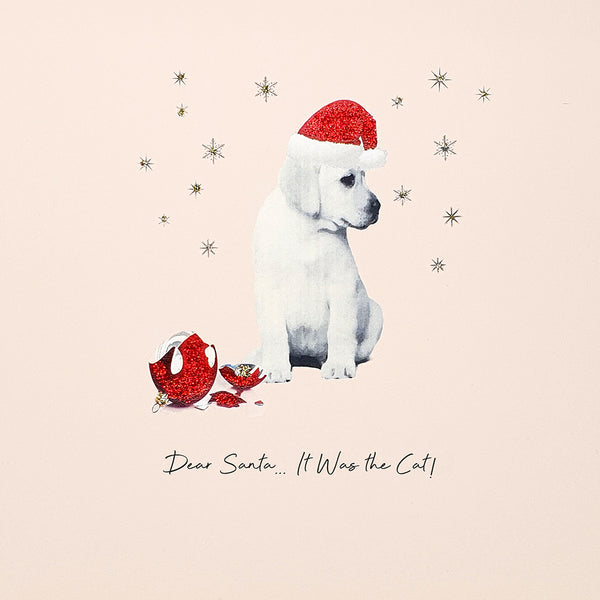 Dear Santa…It Was the Cat!