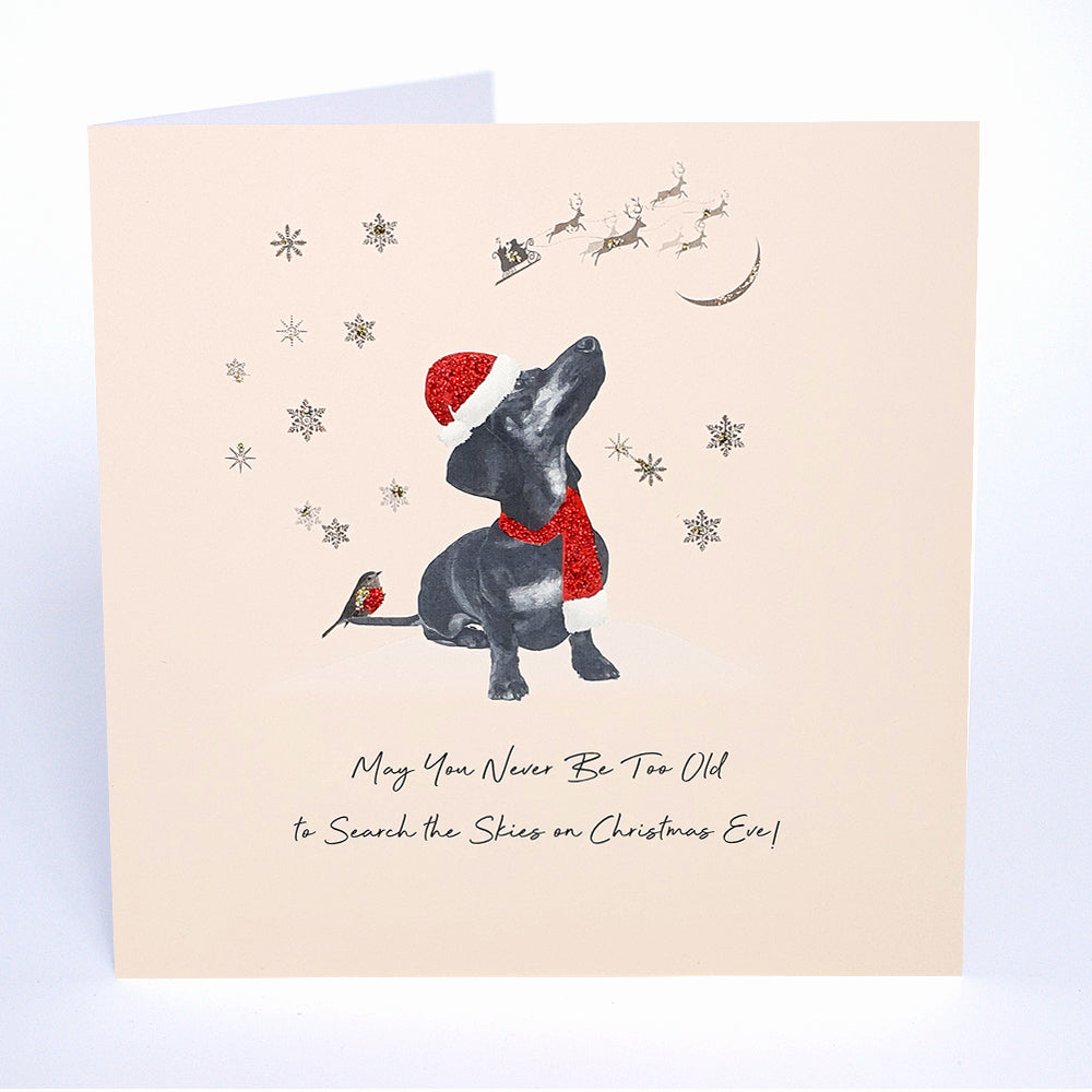 May You Never Be Too Old to Search the Skies on Christmas Eve!