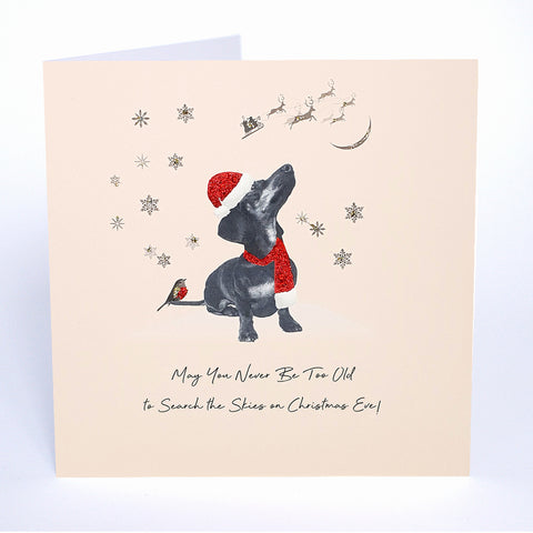 May You Never Be Too Old to Search the Skies on Christmas Eve!