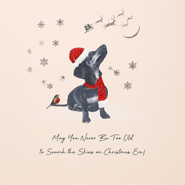 May You Never Be Too Old to Search the Skies on Christmas Eve!