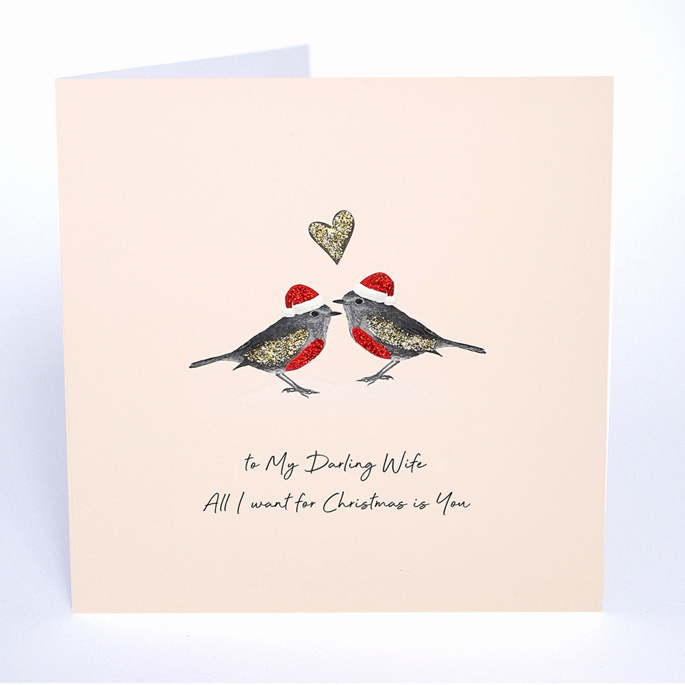 To My Darling Wife All I want for Christmas is You