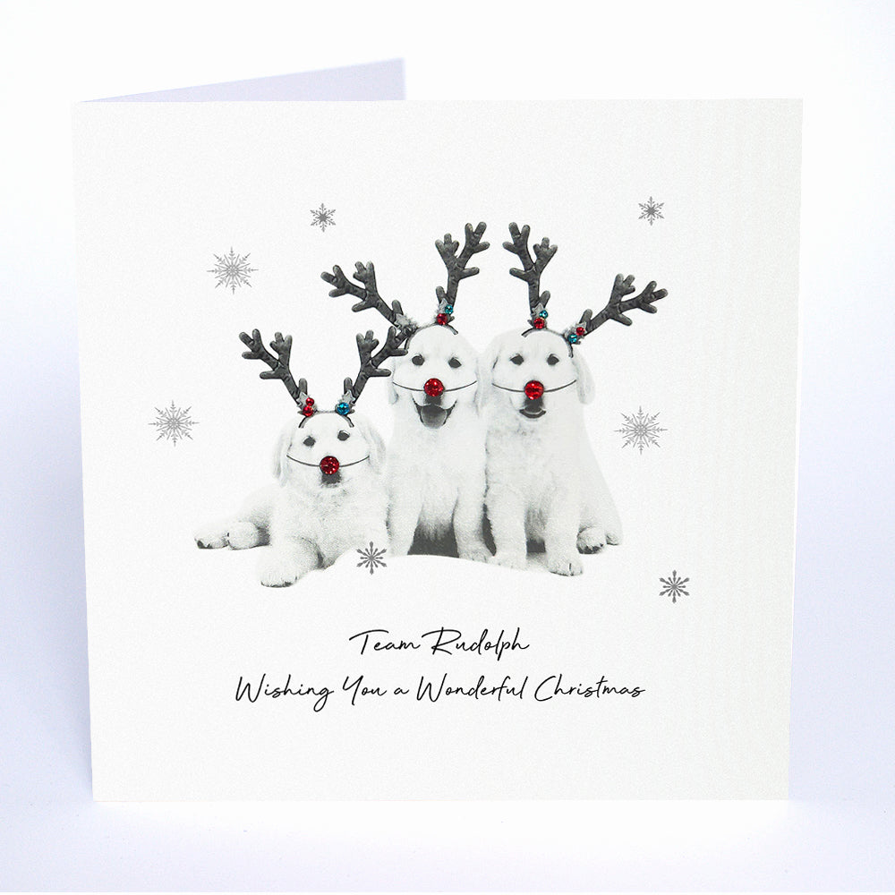 Team Rudolph - Wishing You a Wonderful Christmas