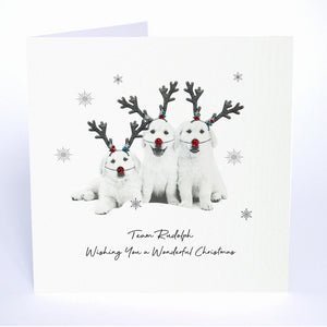 Team Rudolph - Wishing You a Wonderful Christmas