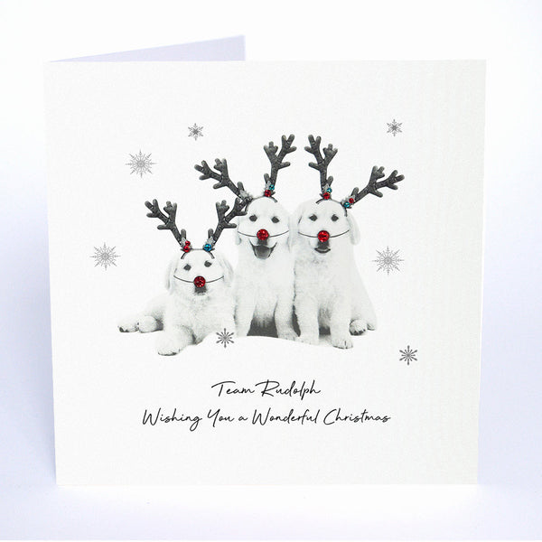Team Rudolph - Wishing You a Wonderful Christmas