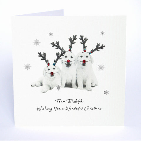 Team Rudolph - Wishing You a Wonderful Christmas