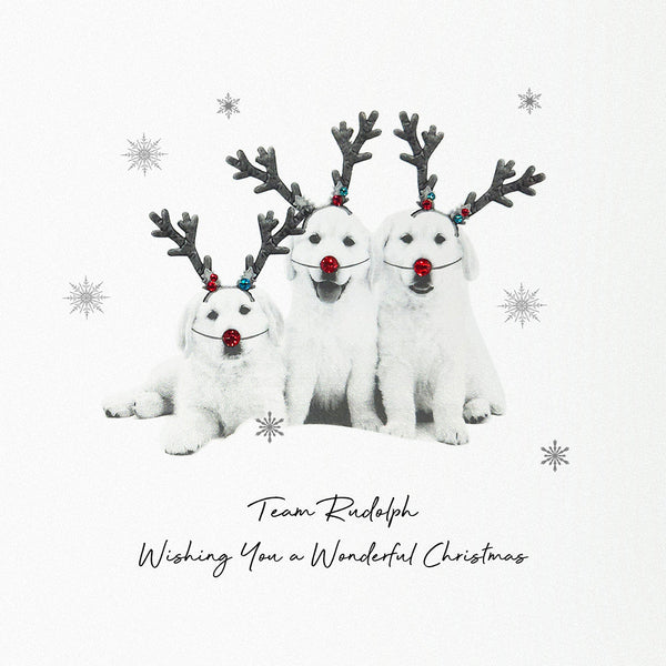 Team Rudolph - Wishing You a Wonderful Christmas