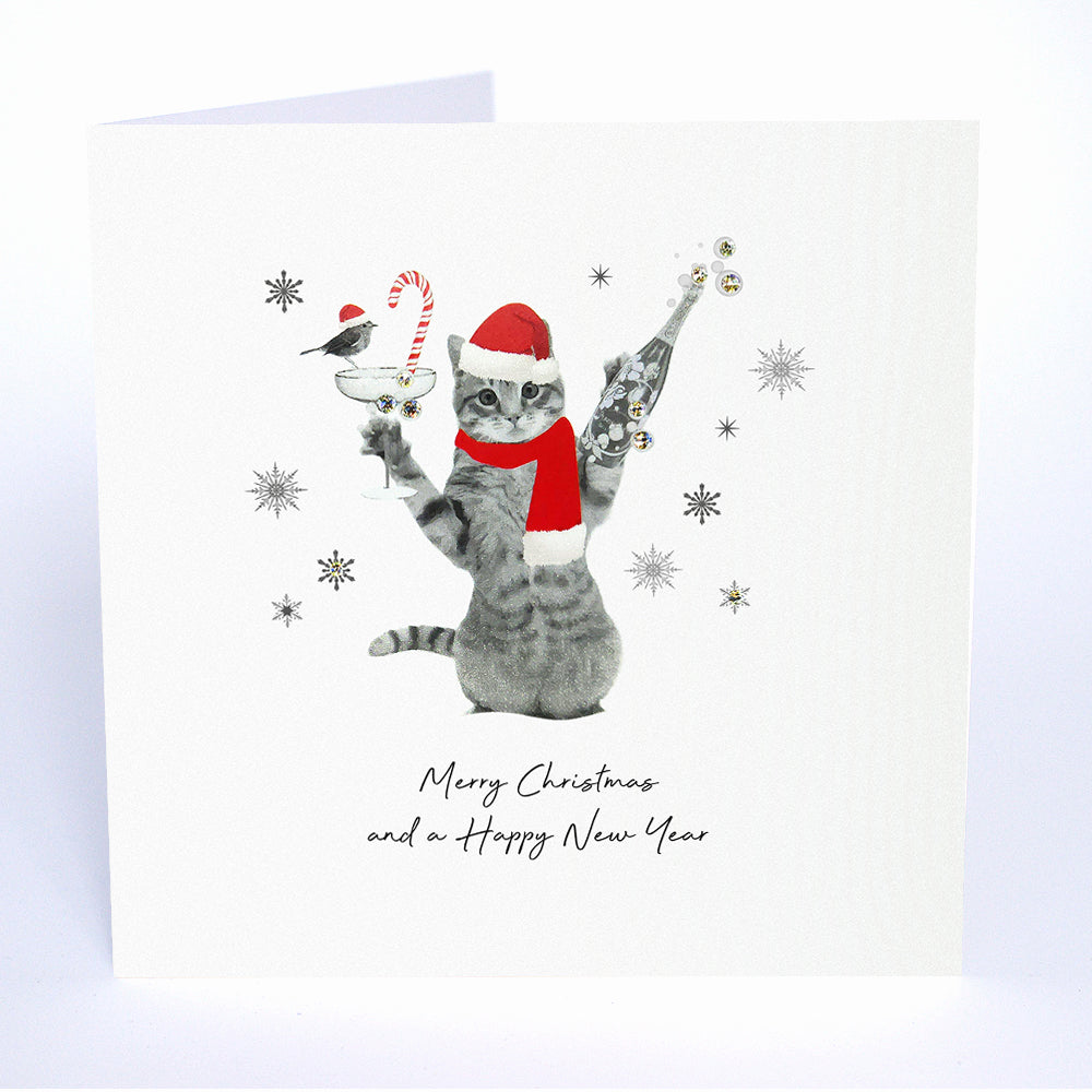 Merry Christmas and a Happy New Year