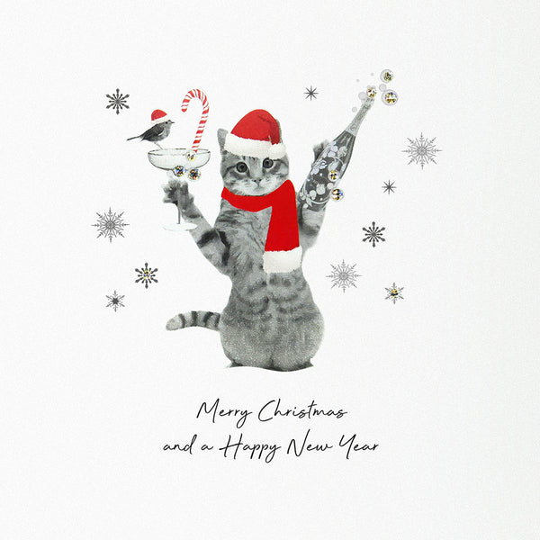 Merry Christmas and a Happy New Year