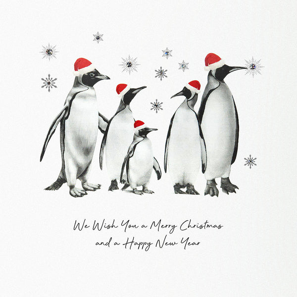 We Wish You a Merry Christmas and a Happy New Year
