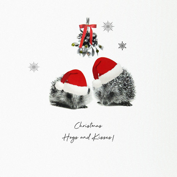 Christmas Hogs and Kisses