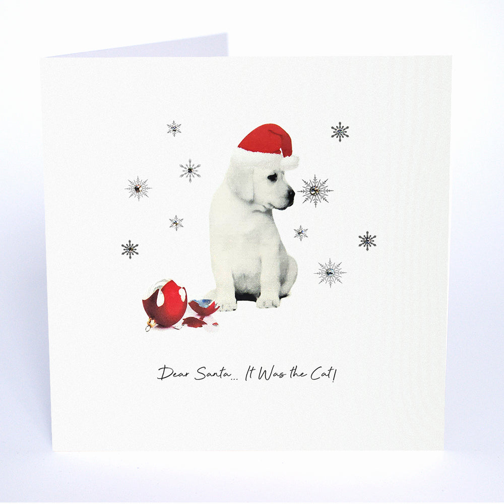 Dear Santa… It Was the Cat