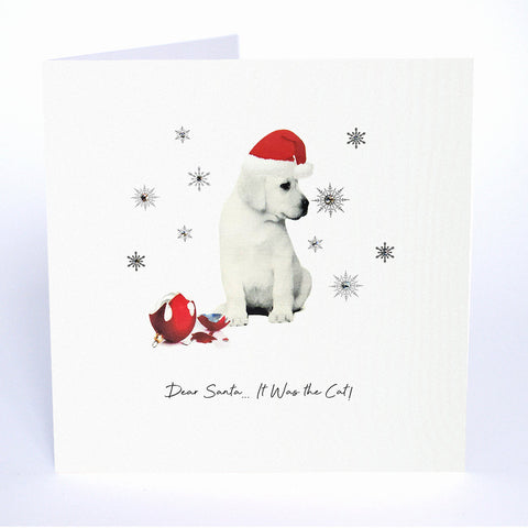 Dear Santa… It Was the Cat
