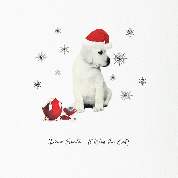Dear Santa… It Was the Cat