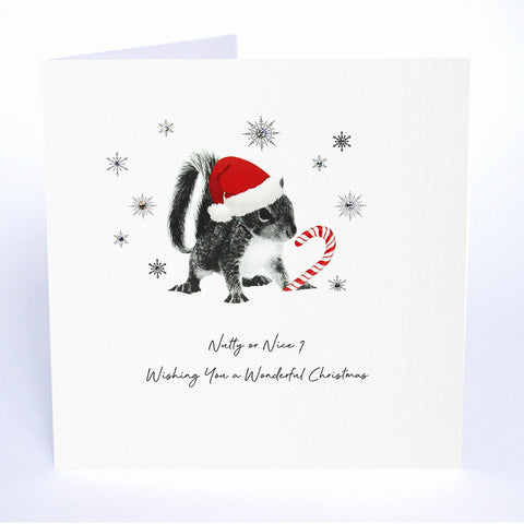 Nutty or Nice? Wishing You a Wonderful Christmas